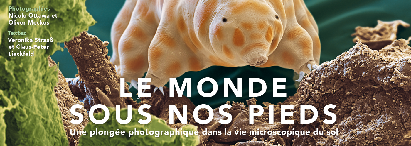 Illustration du carrousel pour le livre Le monde sous nos pieds
