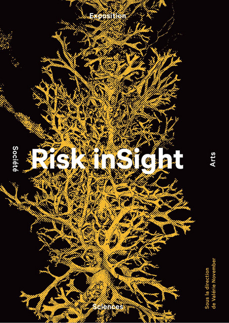 Risk inSight  -  - EPFL Press