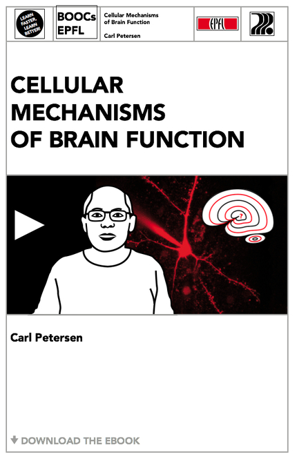 Cellular Mechanisms of Brain Function  - Carl Petersen - EPFL Press