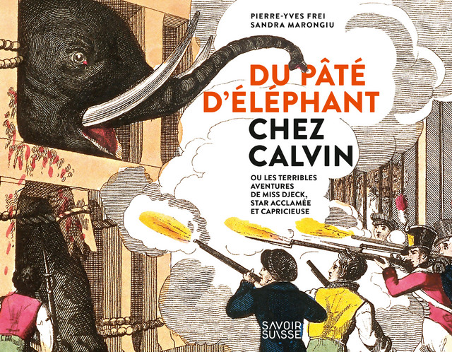 Du pâté d'éléphant chez Calvin  - Pierre-Yves Frei, Sandra Marongiu - Savoir suisse